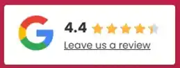 Google Review Transfer Canary Taxi Bus
